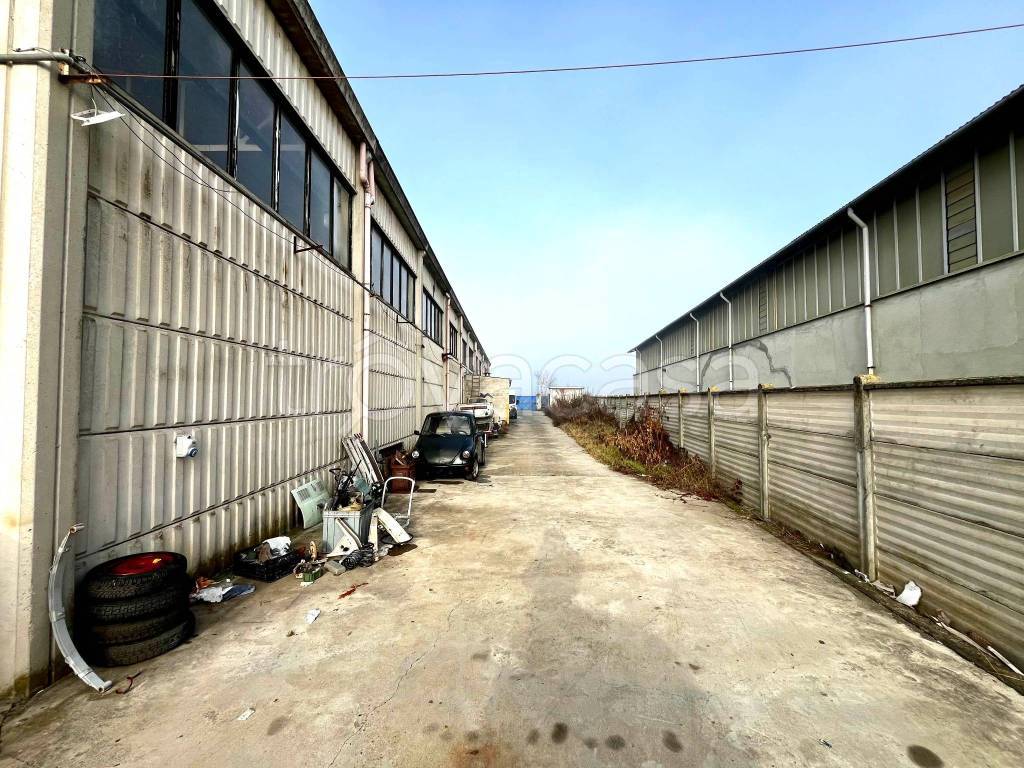 immagine annuncio 13 di 15