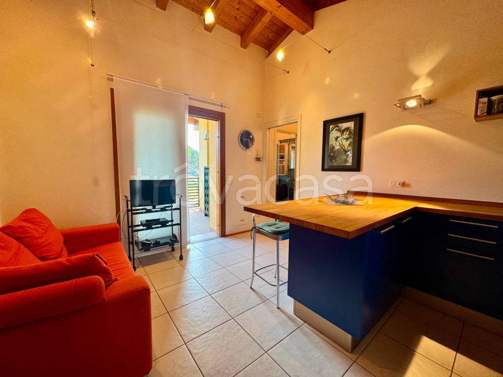 immagine annuncio 4 di 14