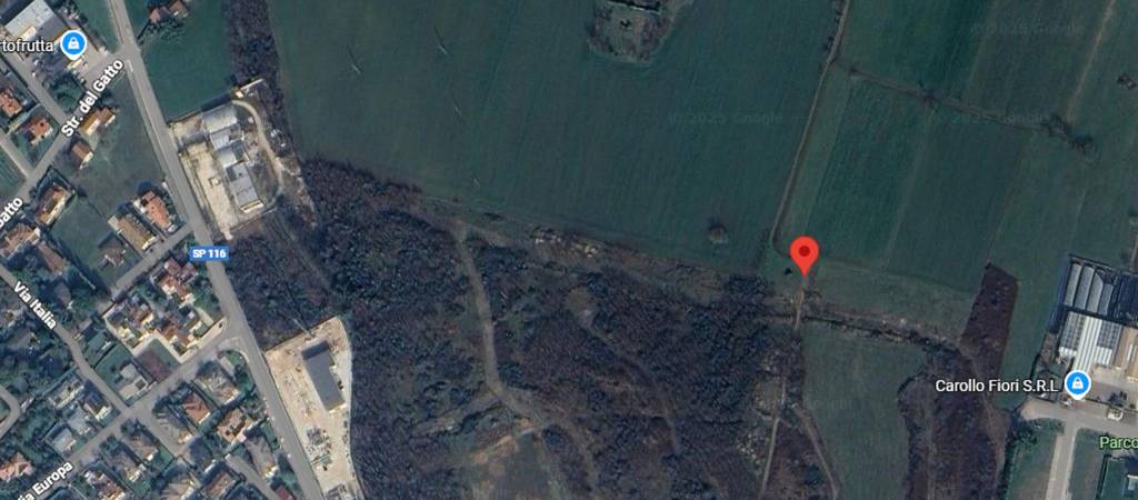 immagine annuncio 1 di 10