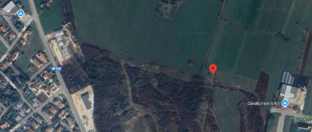 immagine annuncio 2 di 10