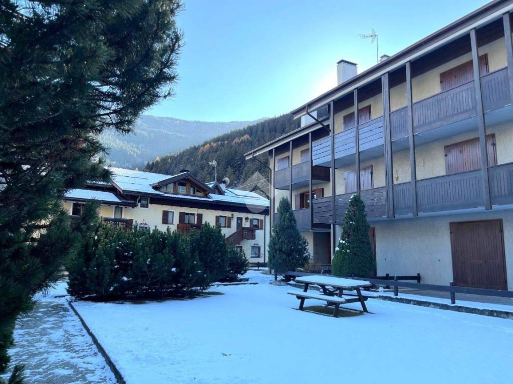 immagine annuncio 1 di 8