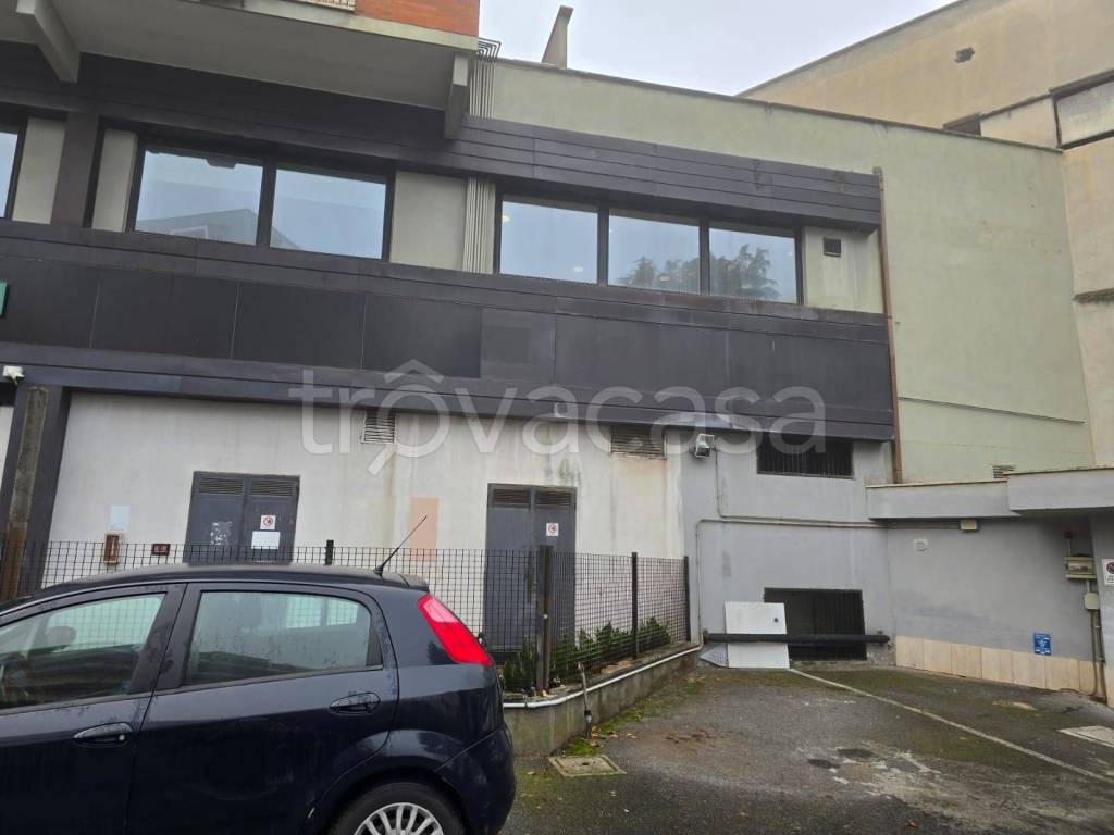 immagine annuncio 11 di 13