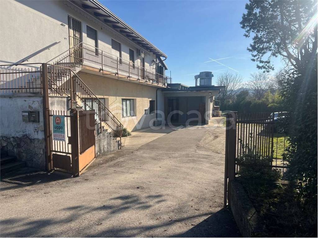 immagine annuncio 10 di 13