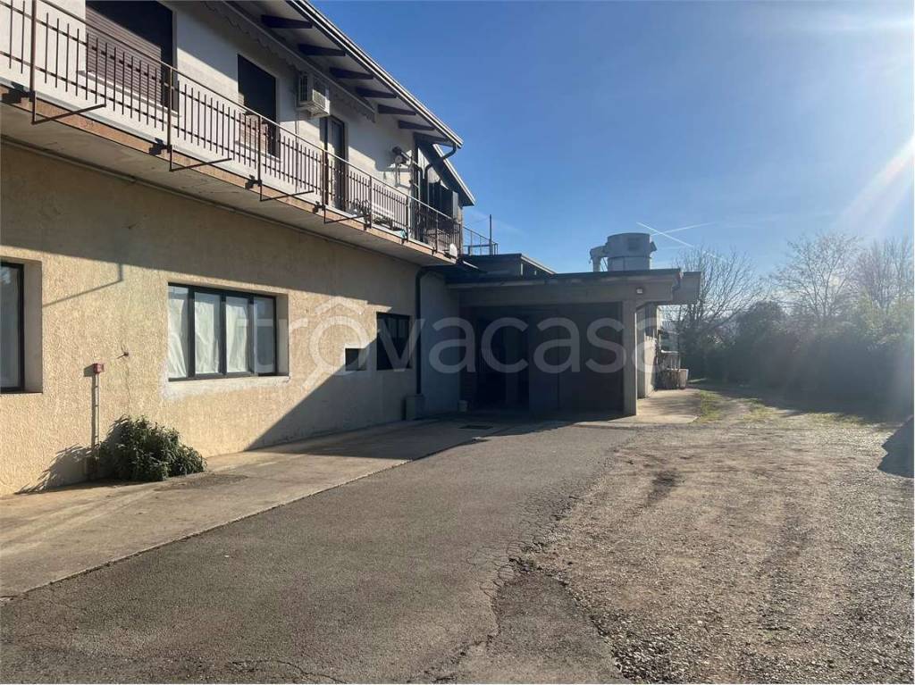 immagine annuncio 11 di 13