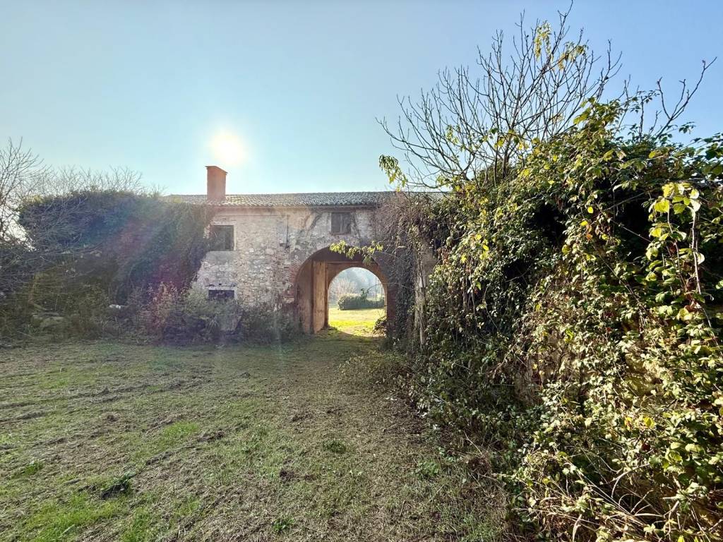 immagine annuncio 6 di 7