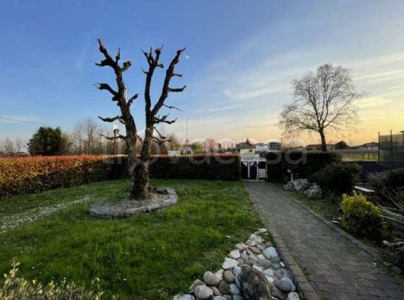 immagine annuncio 3 di 12