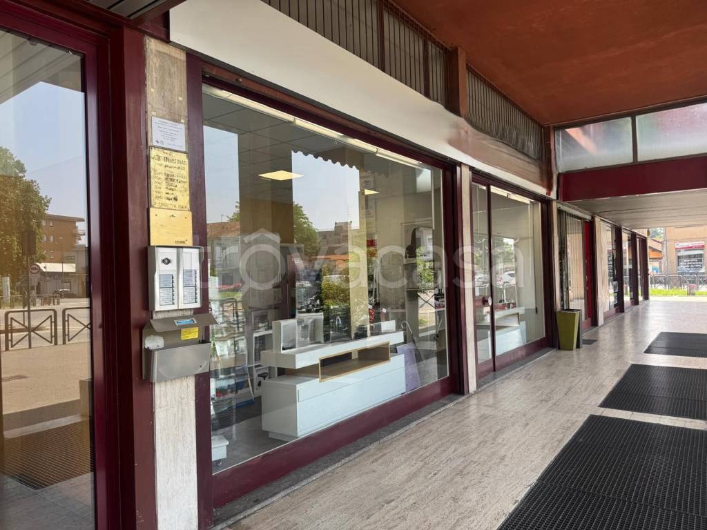 immagine annuncio 3 di 6