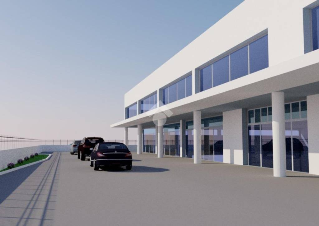 immagine annuncio 5 di 7