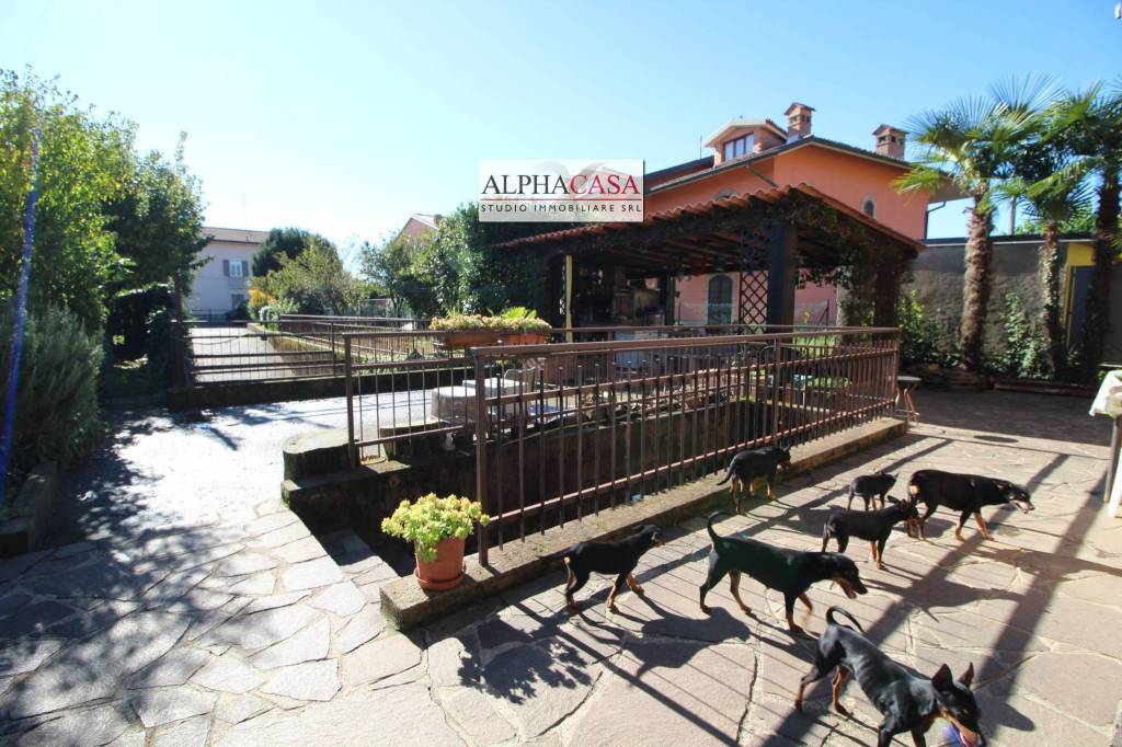 immagine annuncio 6 di 15