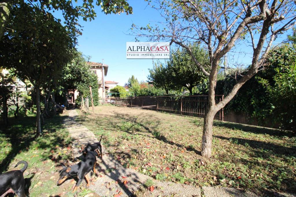 immagine annuncio 7 di 15