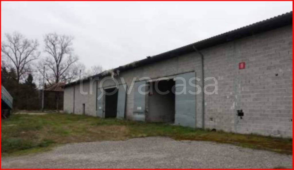 immagine annuncio 2 di 12