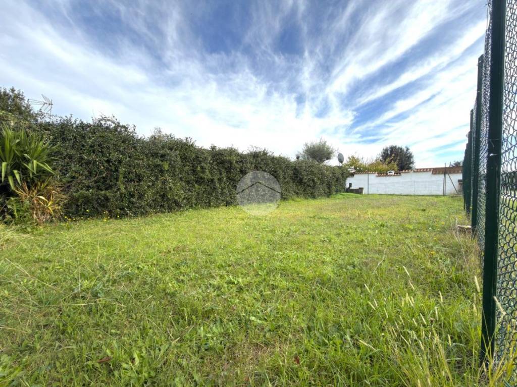 immagine annuncio 3 di 6