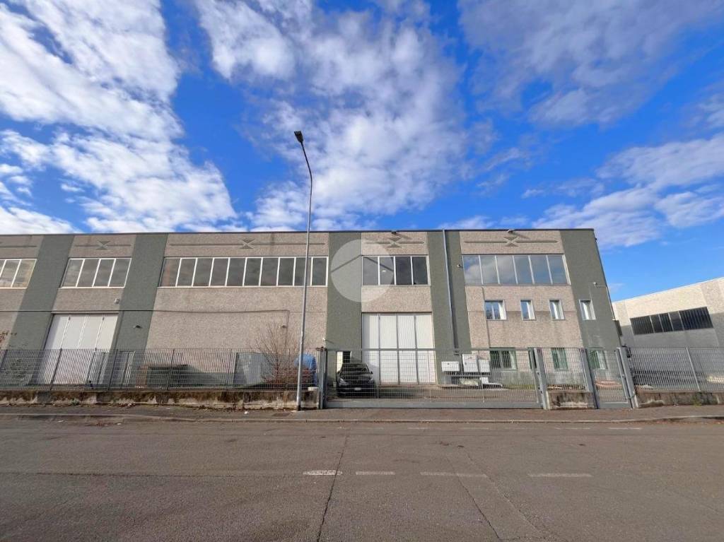 immagine annuncio 5 di 10