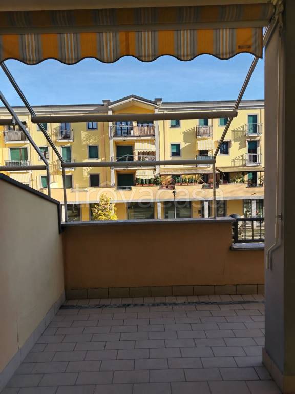 immagine annuncio 3 di 12