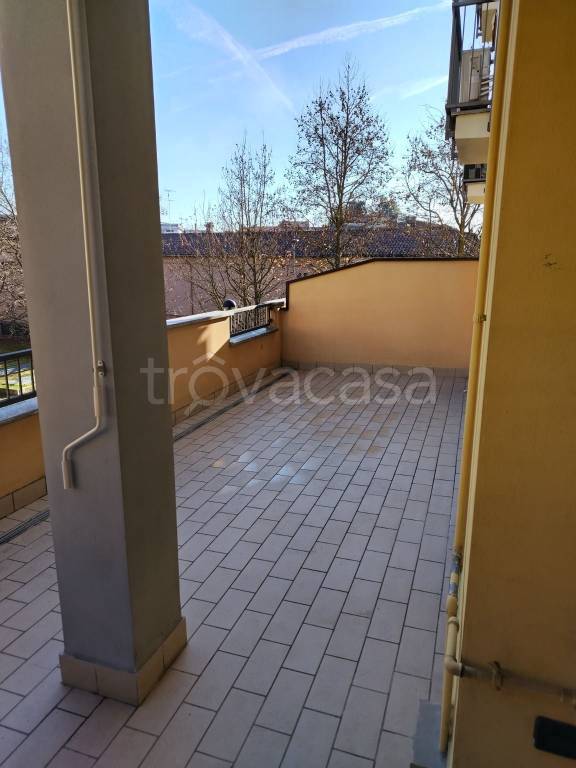 immagine annuncio 5 di 12