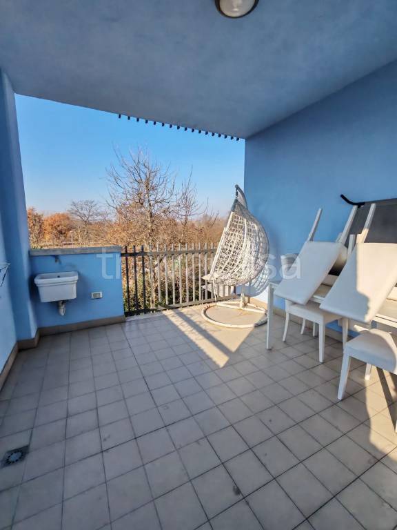 immagine annuncio 4 di 15