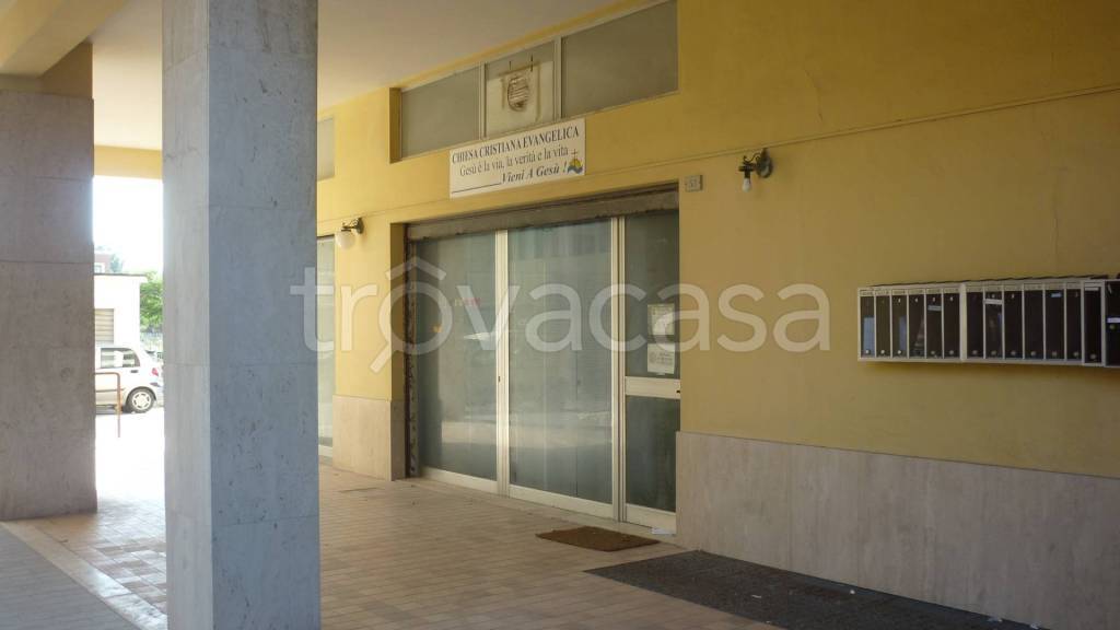 immagine annuncio 3 di 7