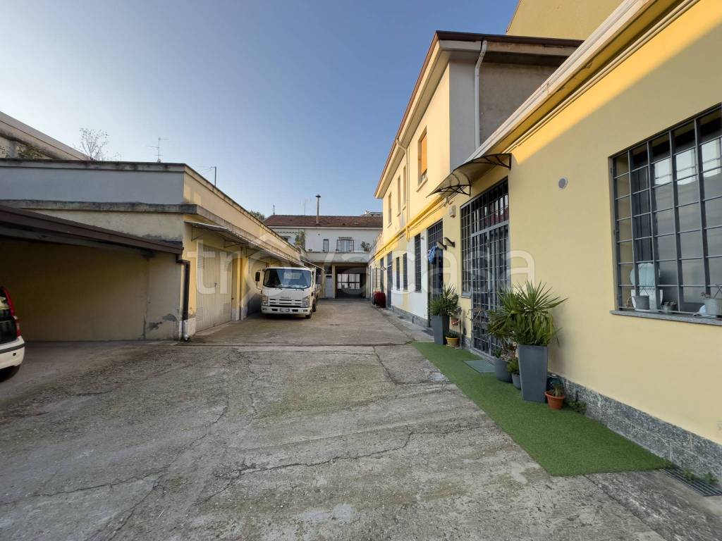 immagine annuncio 6 di 11