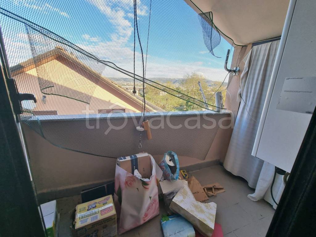 immagine annuncio 11 di 13