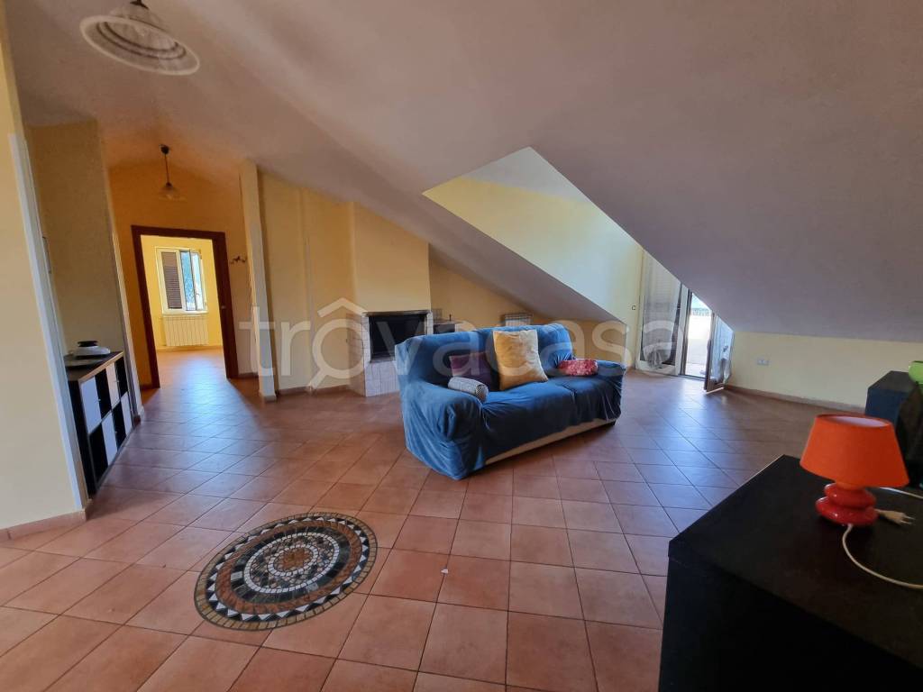 immagine annuncio 2 di 13