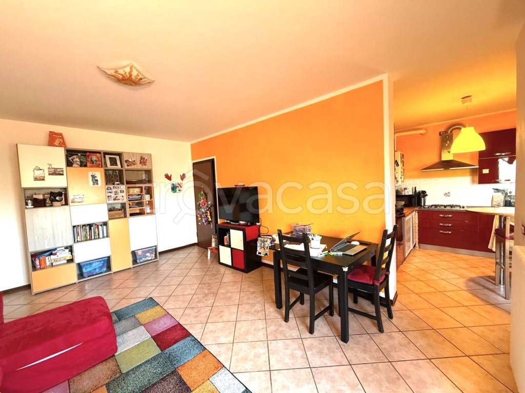 immagine annuncio 5 di 15