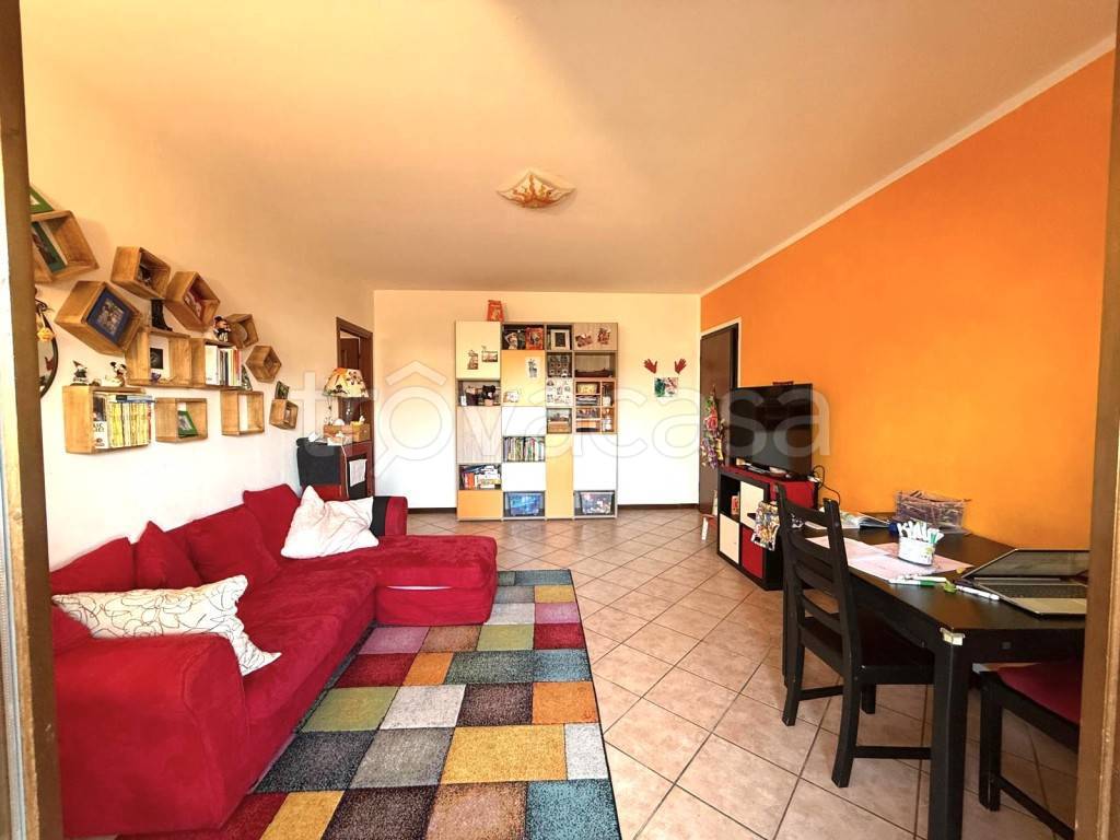 immagine annuncio 6 di 15