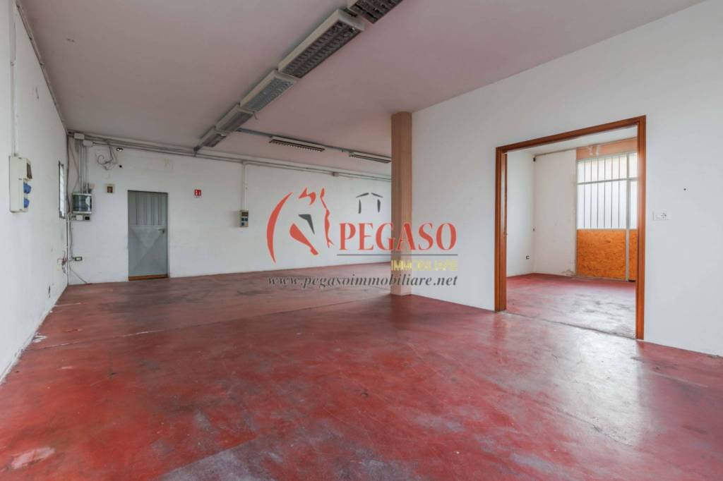 immagine annuncio 5 di 13