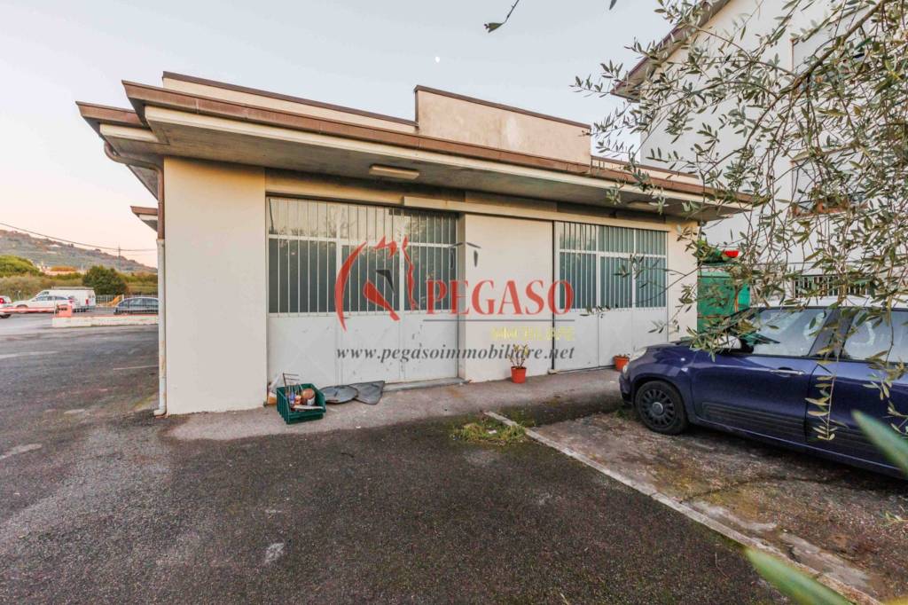 immagine annuncio 10 di 13