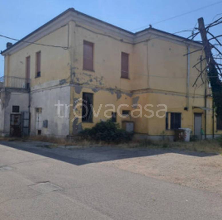 immagine annuncio 5 di 11