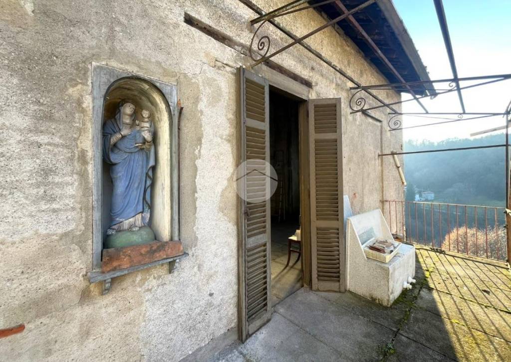 immagine annuncio 5 di 12