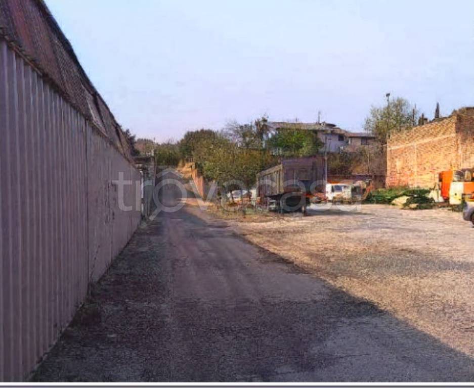 immagine annuncio 3 di 12