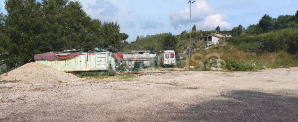 immagine annuncio 5 di 12