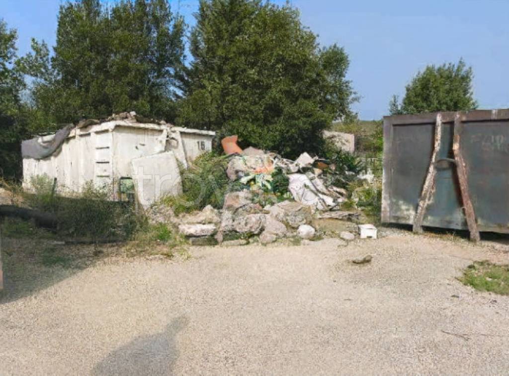 immagine annuncio 7 di 12