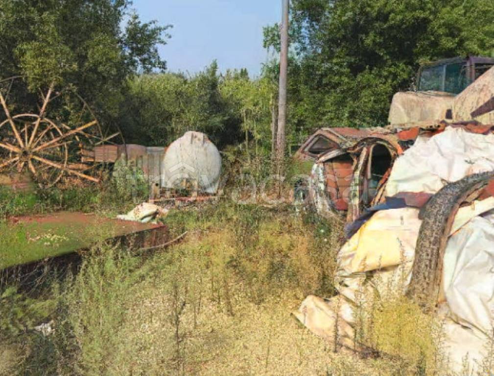 immagine annuncio 10 di 12