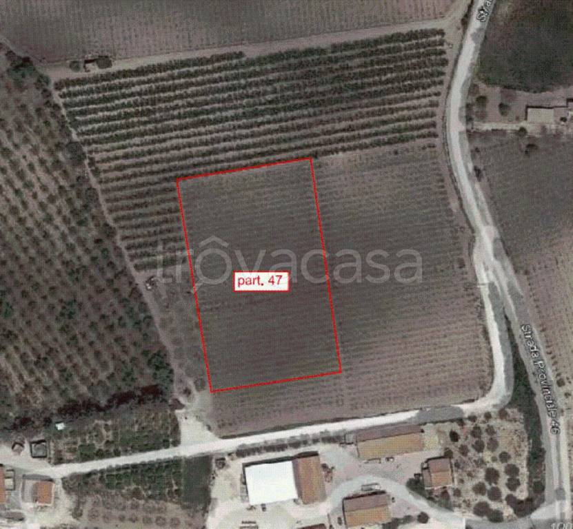 immagine annuncio 10 di 11