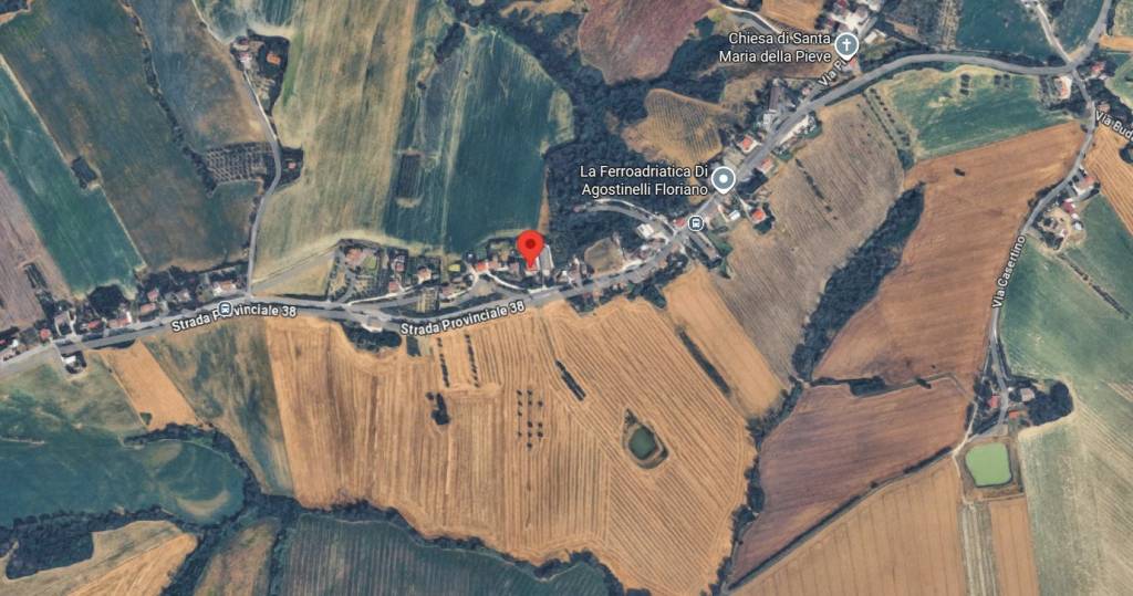 immagine annuncio 2 di 7