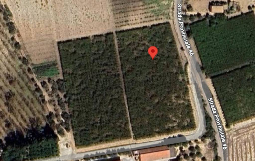 immagine annuncio 6 di 11