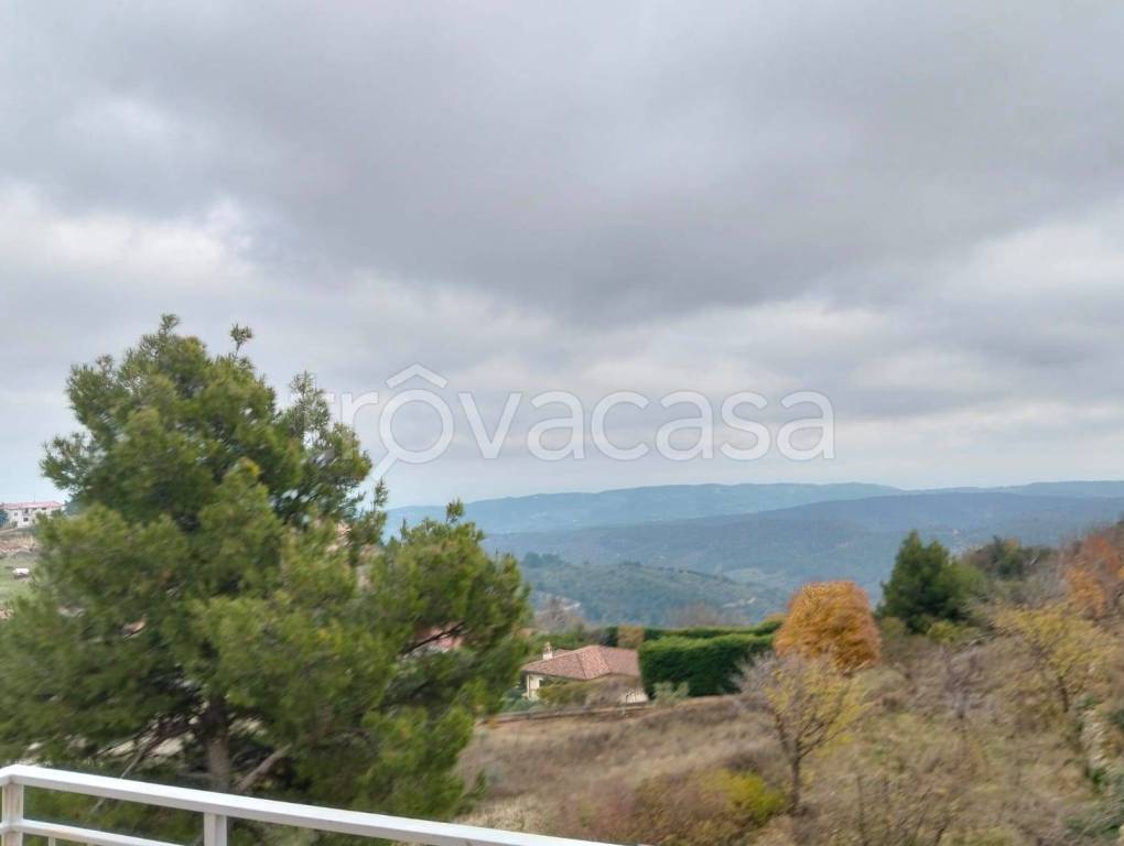 immagine annuncio 5 di 7