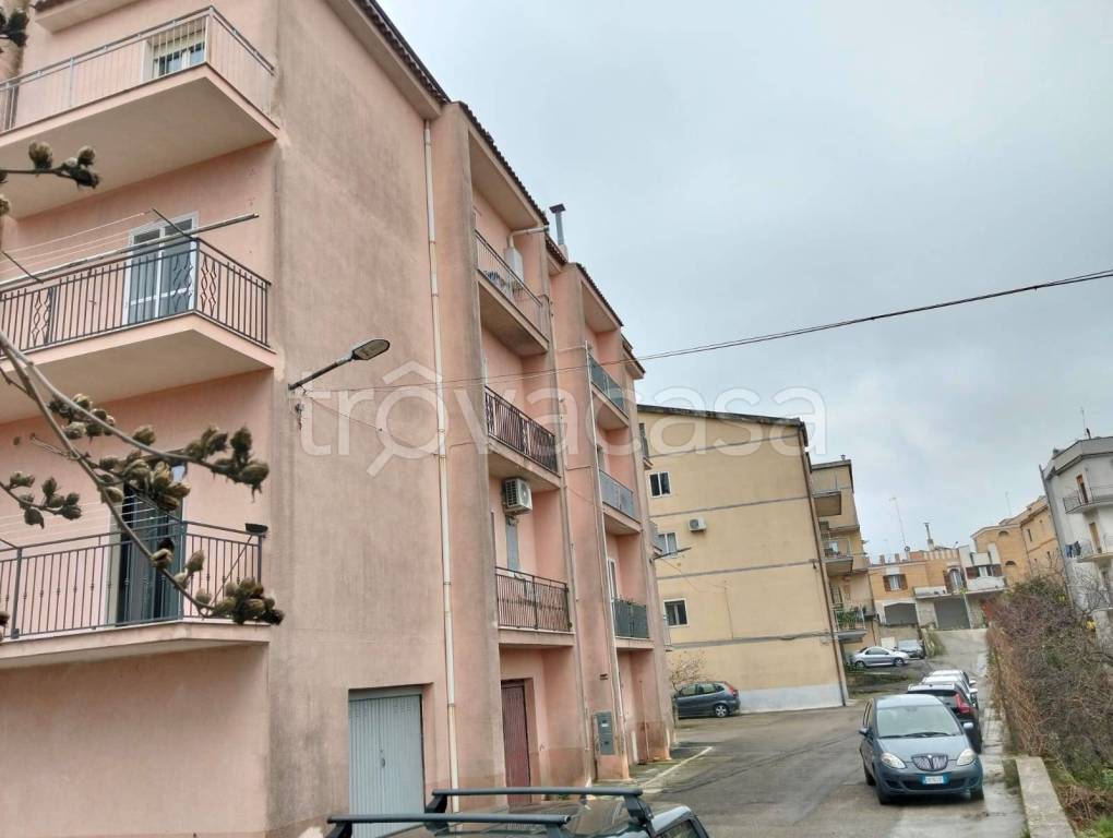 immagine annuncio 6 di 7