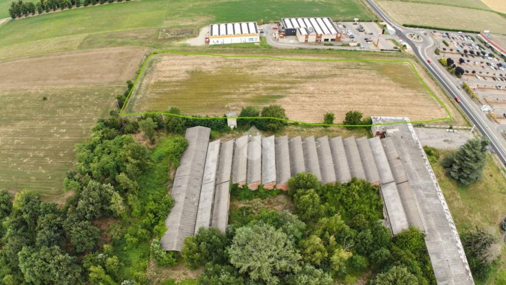 immagine annuncio 2 di 6