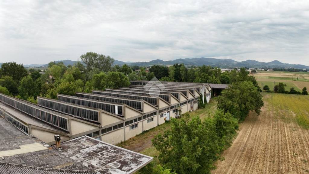 immagine annuncio 3 di 6