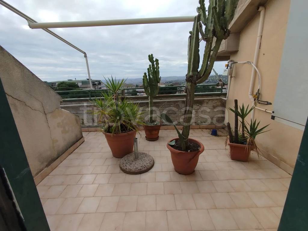 immagine annuncio 6 di 8