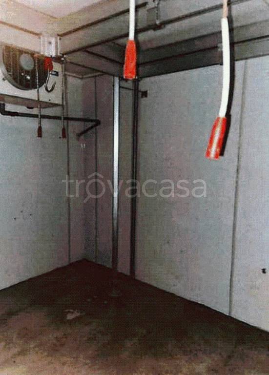 immagine annuncio 5 di 14