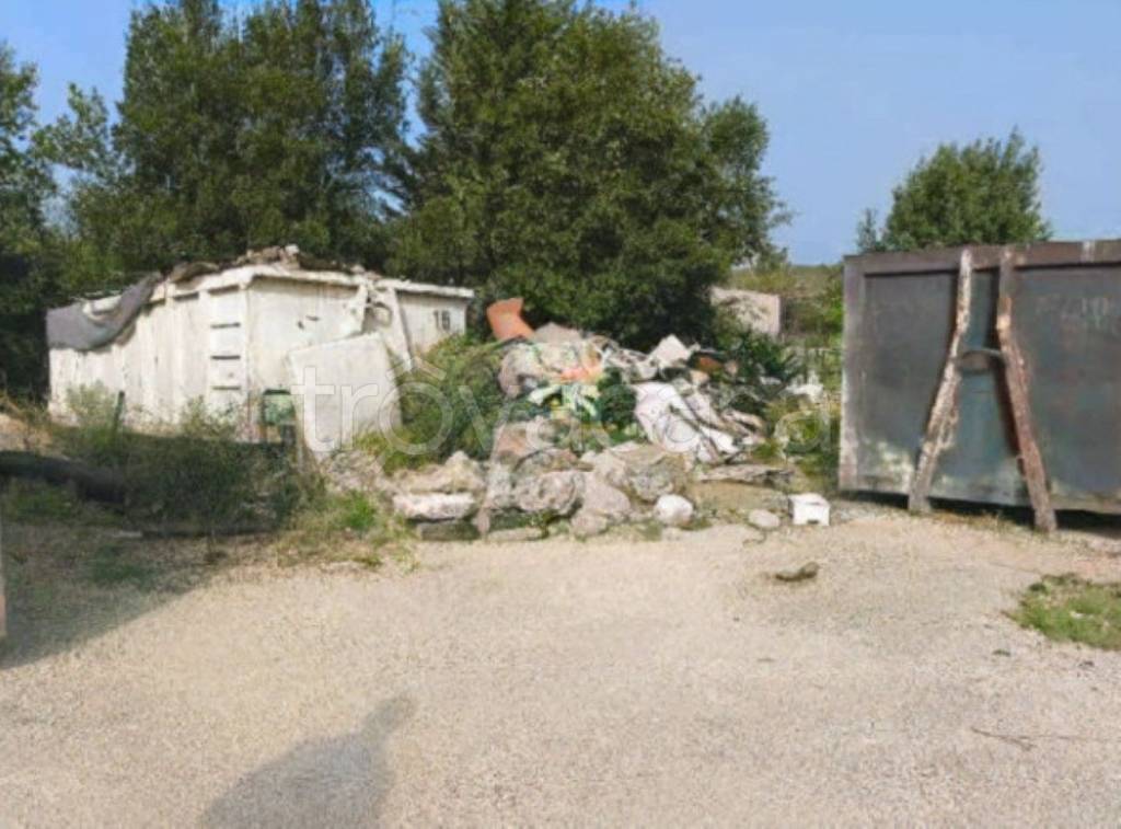 immagine annuncio 5 di 9