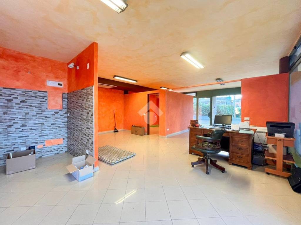 immagine annuncio 5 di 15