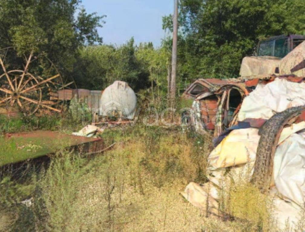 immagine annuncio 1 di 9