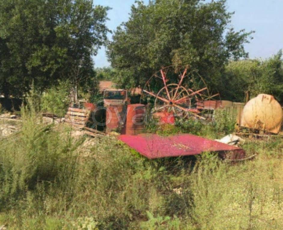 immagine annuncio 3 di 9