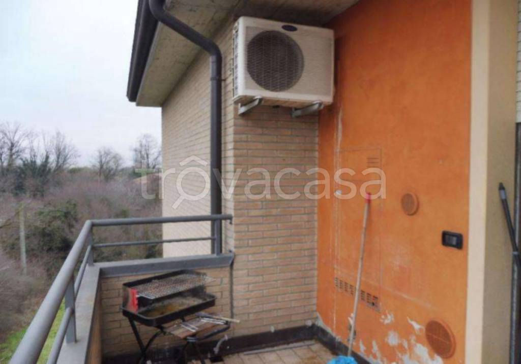 immagine annuncio 5 di 12