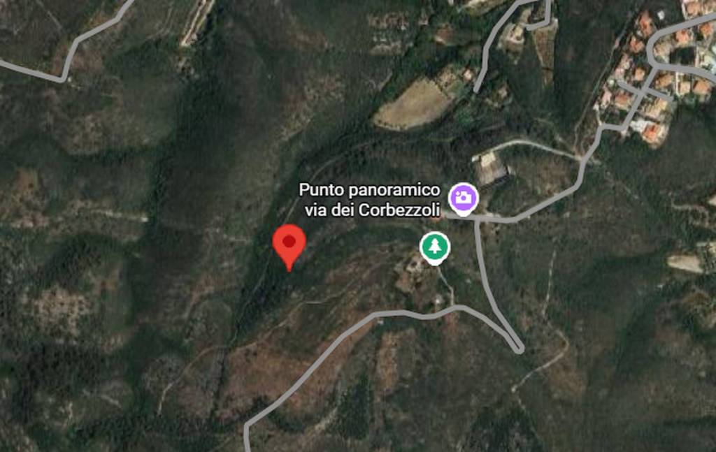 immagine annuncio 4 di 9