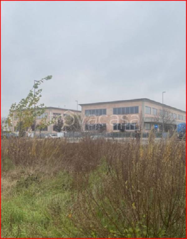 immagine annuncio 2 di 11